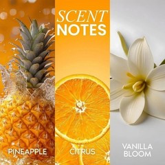 NEW Her Fantasy Box | Body Splash Hydrating Body Oil