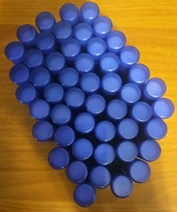 MARIA CHILD-All Natural Lip Balm-Bulk-Chapstick 50 Count-PURPLE TUBE-NEW!