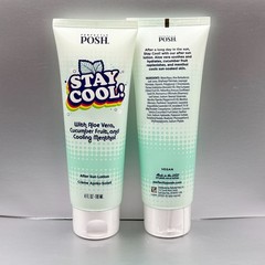 Lot of 2 Perfectly Posh STAY COOL After Sun Lotion SEALED Aloe Cucumber Menthol